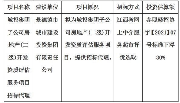 城投集團(tuán)子公司房地產(chǎn)(二級)開發(fā)資質(zhì)評估服務(wù)項目招標(biāo)代理計劃公告
